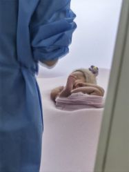 -西瓜庄园儿童摄影