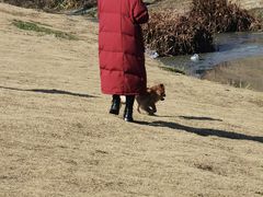 -两河城市森林公园