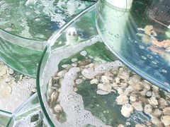 -雅逸居海鲜小厨