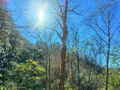 -洛阳白云山景区