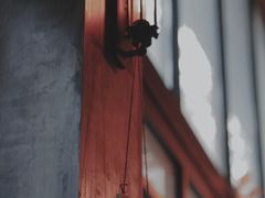 门面-旧雨咖啡·CoffeeFORU(黄村奥体店)