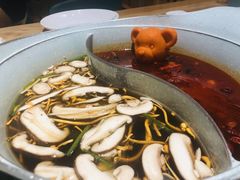 -青瓷火锅料理(西单大悦城店)
