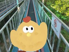 -黄金寨原生态旅游区