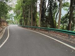 -佛山市三水区大南山森林公园
