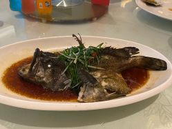 -鸿禧国际高尔夫俱乐部婚宴·草坪婚礼·宴会厅