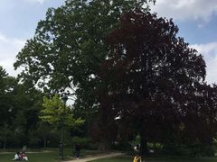 -圣马尔谷圣殿宗主教座堂