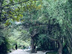-卡定沟景区