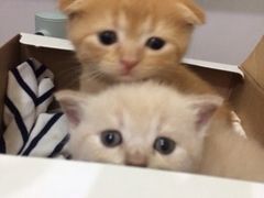 iphone_upload_pic-甄爱宠物医院(疏影路店)