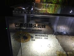 -萌宠奇缘