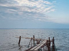 -上海吴淞炮台湾国家湿地公园