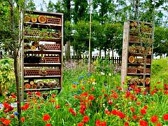 -前小桔亲子创意农场·草莓采摘·露营烧烤