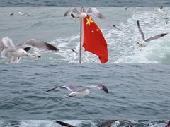 -海驴岛(荣成市)