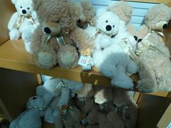 -济州岛泰迪熊博物馆