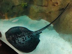 -珠海横琴国家地理探险家中心(创新方)