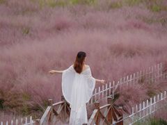 -嘉北郊野公园