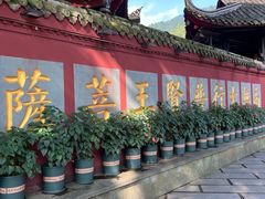 -峨眉山报国寺