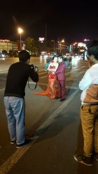 -完美新娘婚纱摄影