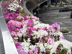 -龙湖重庆时代天街