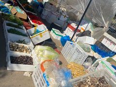 -雪绒花路停车场