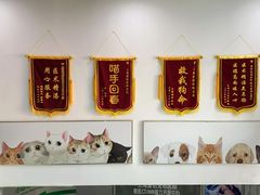 -爱侣宠医·鹦鹉专科·小型哺乳类·异宠专科(灵石路店)