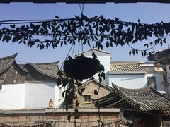 -香满楼(临安路店)