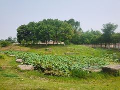 -滆湖低碳生态公园