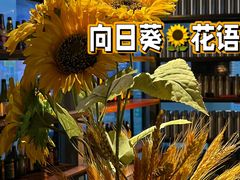 -故遥酒馆.赛事直播