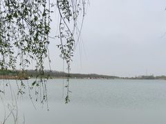 -渭河城市绿地运动公园