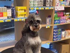 -瑞派康怡24h宠物医院·犬猫医疗中心·微创绝育(瑞景分院)