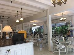 -Fern Forest Cafe