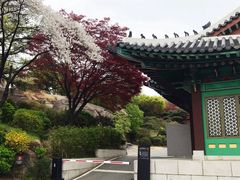 -新罗免税店(首尔总店)