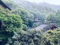 -韬光茶庵