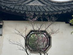 -八大山人梅湖景区