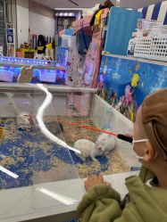 -孩子王童乐园(马群店)