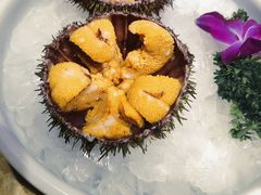 -老大连·海肠捞饭·大连海鲜大连菜(西安路店)