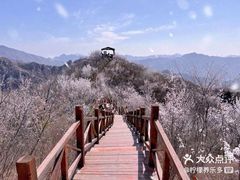 -白水寺森林公园