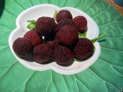 -全聚德(大兴国际机场店)