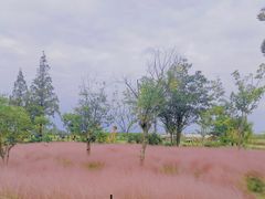 -嘉北郊野公园