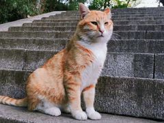 -崂山九水游览区