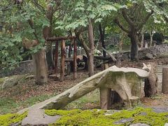 -都江堰中华大熊猫苑