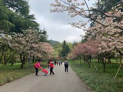 -贵阳市花溪国家城市湿地公园