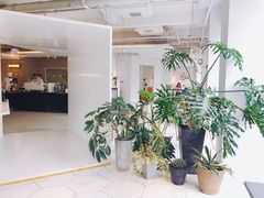 -CAFE'IN精品咖啡体验空间(小寨店)