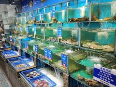 -海味当家·蒸锅海鲜(星海公园店)