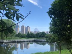 -洋湖国家湿地公园