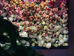 -798餐厅(任丘路店)