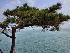 -棒棰岛宾馆景区
