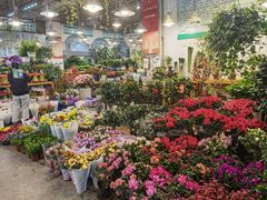 -双季花艺园艺市场(浦东店)