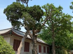 -青岛崂山太清宫