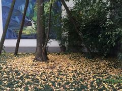 -鱼凫人家