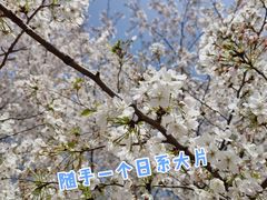 -苏州上方山国家森林公园